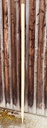 Echalas en acacia section triangulaire, écorcés, pointés - hauteur 1m50, périmètre 8/12 cm (copie)
